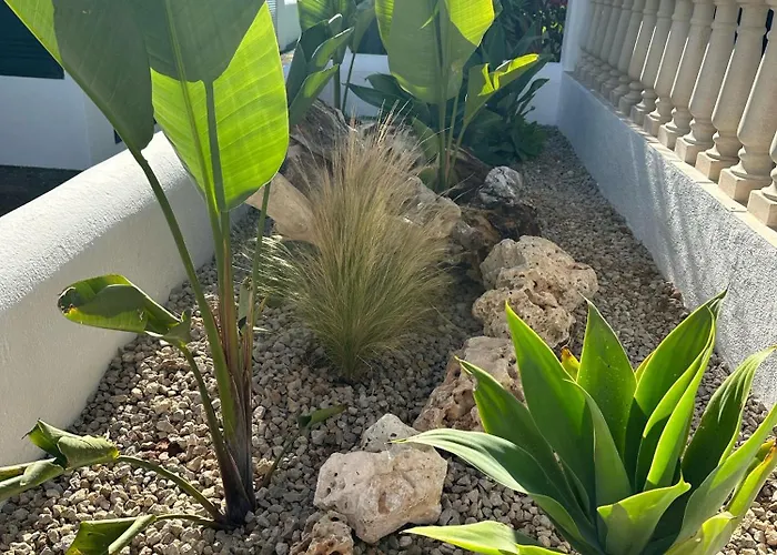 Diplomado Nyaraló Es Mercadal