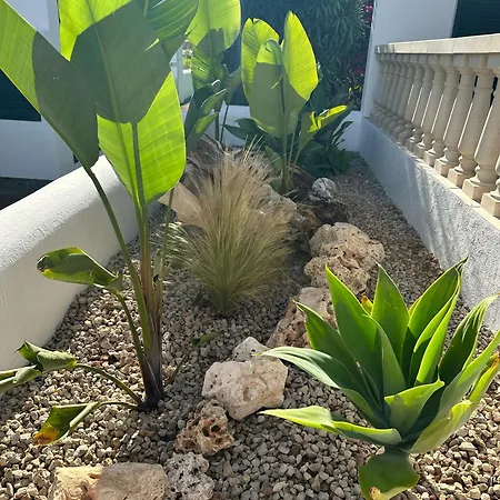 Diplomado Holiday home Es Mercadal